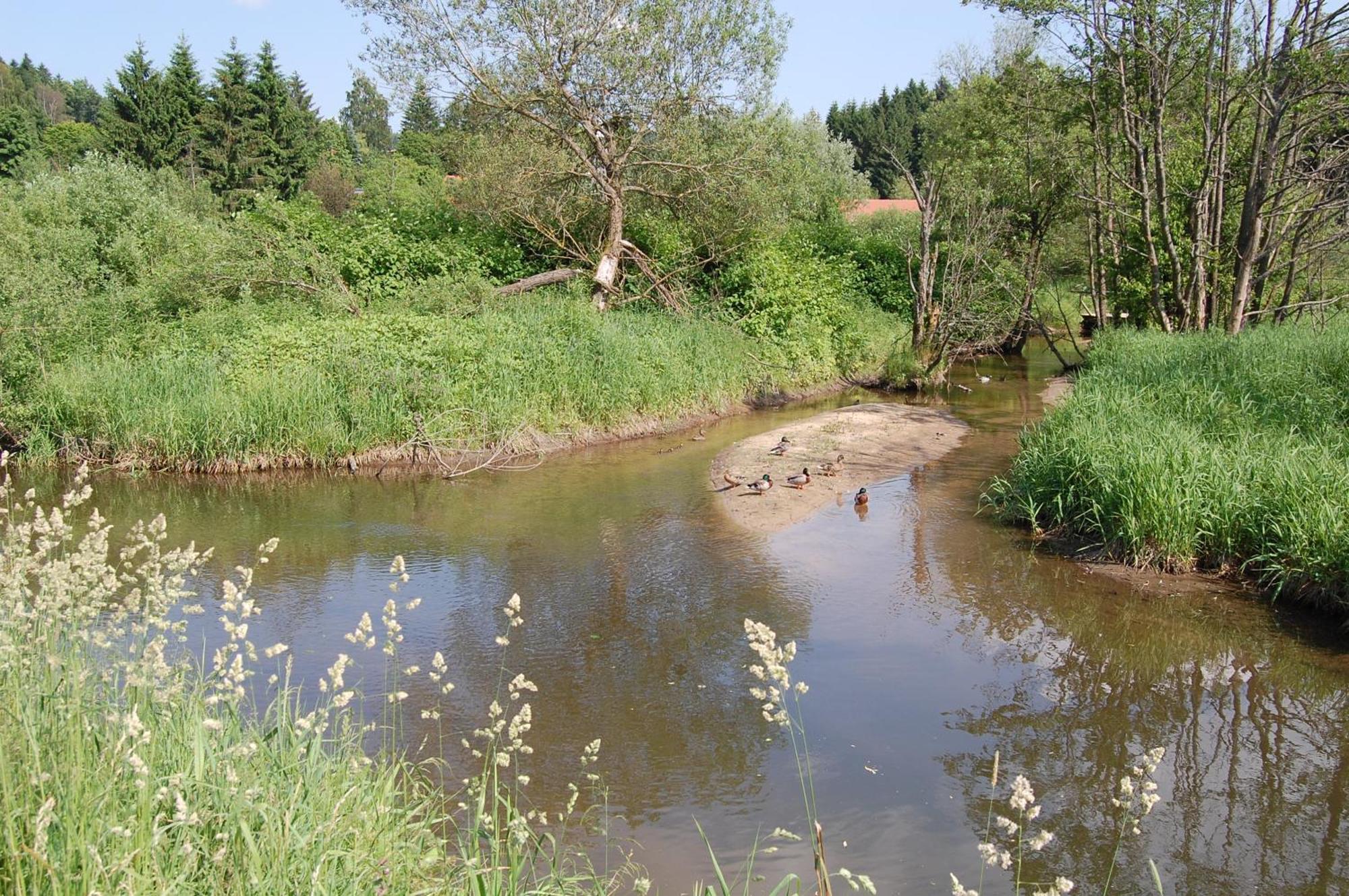 Ferienhaus Mit Seeblick Waldkirchen Esterno foto